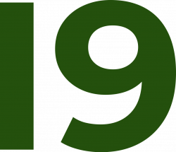 19 19